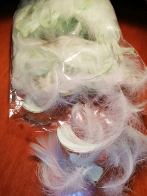 Craft feathers like new, light green