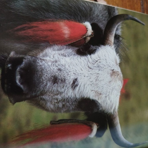 Tibet travel and culture guidebook