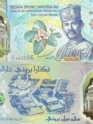 Brunei 1 Ringgit 2026 Polymer Banknote New