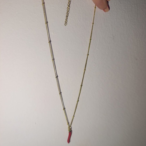 Necklace with red chili pepper pendant new