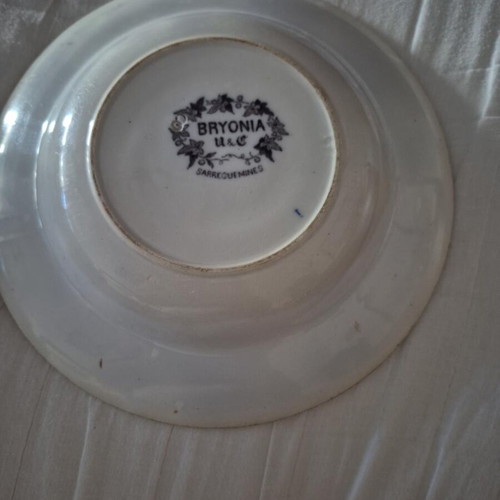 Vintage deep plate U&C Sarreguemines Bryonia