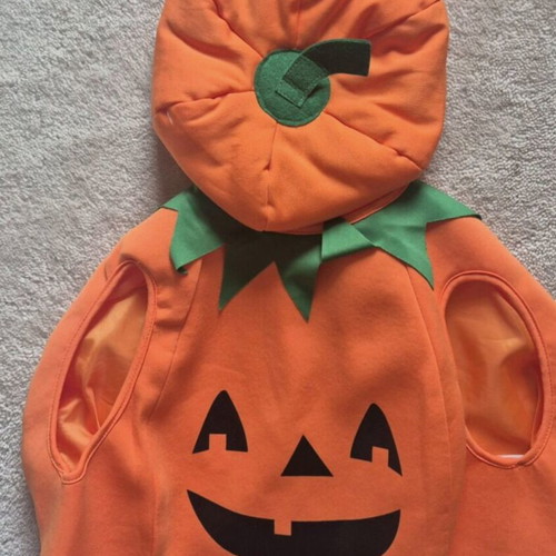 Pumpkin carnival costume used for 2-year-old child