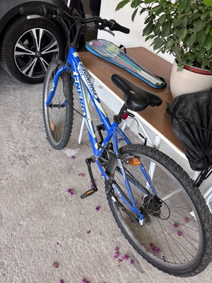 Two mountain bikes used for elementary and middle school kids