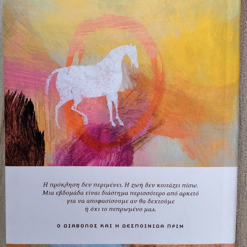 Paulo Coelho Challenge 2007 diary new