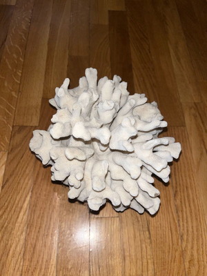 Decorative coral like new