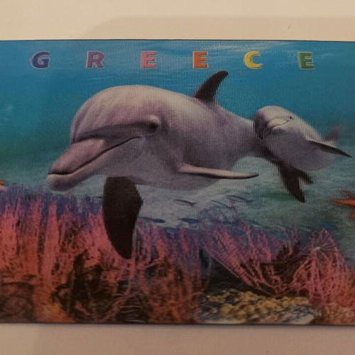 3D magnet new with dolphins