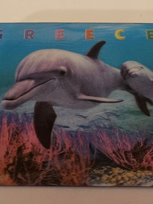3D magnet new with dolphins