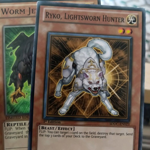 Yu-Gi-Oh Ryko, Lightsworn Hunter card like new