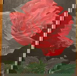 Πίνακας ζωγραφικής αυθεντικός λάδι νεκρά φύση με τριαντάφυλλο, σαν καινούργιος