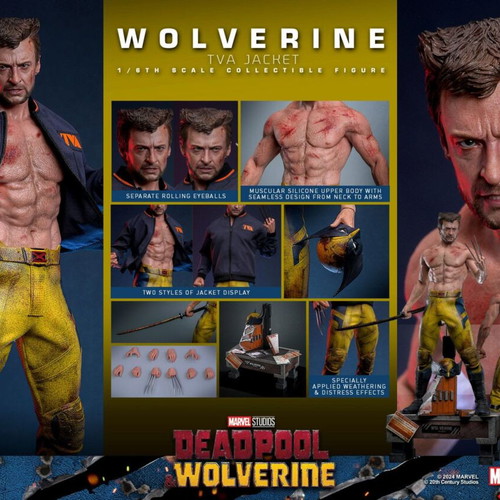 Hot Toys Wolverine TVA Jacket Version 1/6 Scale new