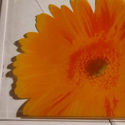 Square decorative LEONARDO crystal plate with gerbera design like new