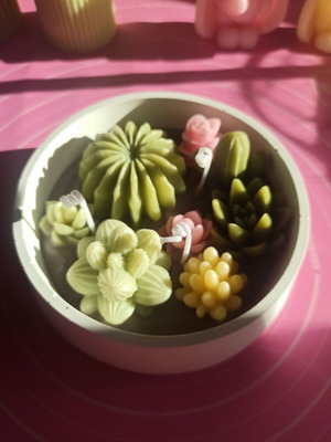Cactus candles new composition with 8 cacti in porcelain pot