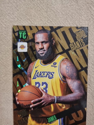 Holo Giants LeBron James Panini Top Class mint condition