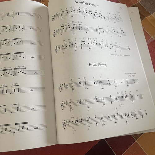 The Study of Guitar by Nikos Froudarakis