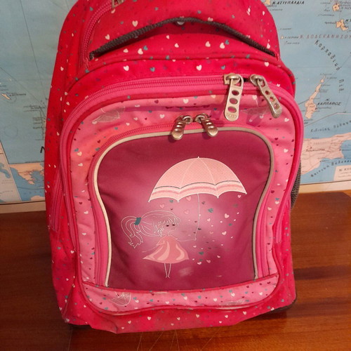 Polo school bag used for girls with wheels