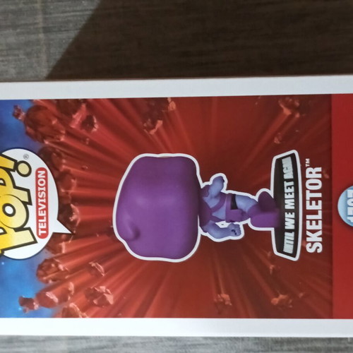 Funko Pop Television 1787 Skeletor Meme figure new