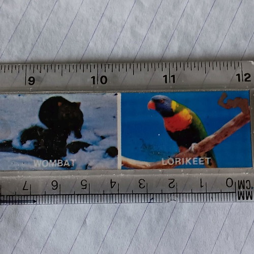 Australian ruler used with wildlife pictures