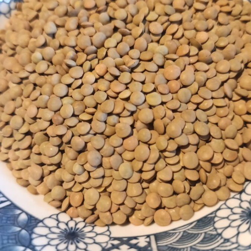 Greek lentils 2kg new from Voio Kozani