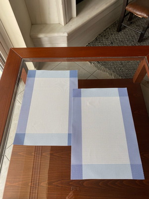 Modern quality placemats with mesh plastic texture 45x30 cm