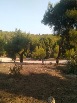 Land plots within city plan in Agios Konstantinos Kamariza, total 886 m²