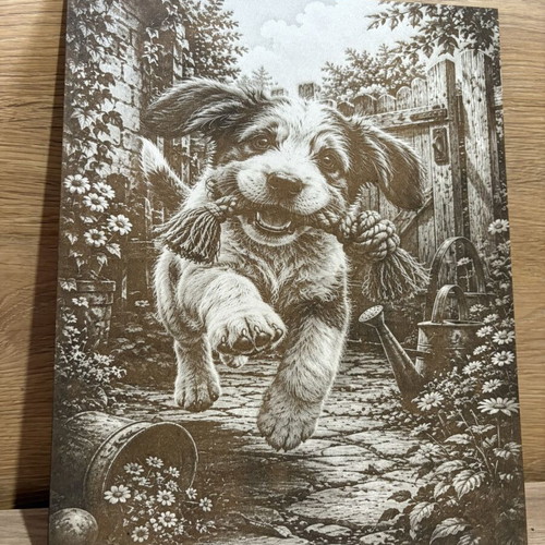 Laser Engraved Picture new, 30x24 cm