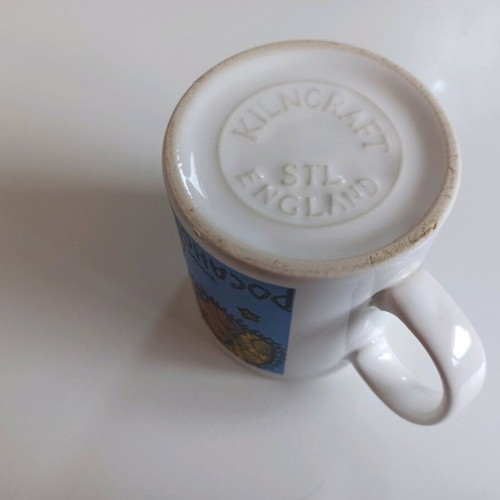 Pocahontas Mug used