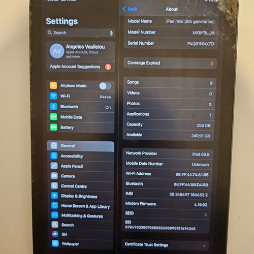 Ipad mini 6 256GB 5G used with cracked screen and worn case