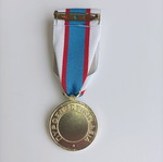 Fire Service Medals new