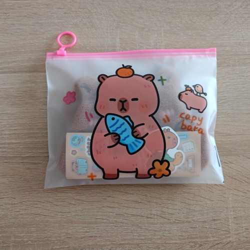 Capybara gift set new with pouch, hand towel and stickers