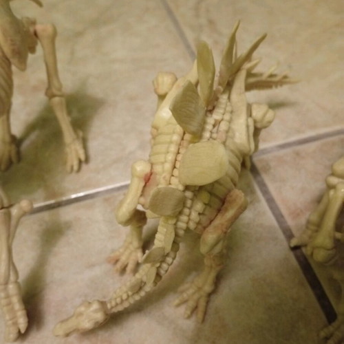 Dinosaur skeletons like new, set of 4 with Triceratops, Mammoth, Tyrannosaurus, Stegosaurus