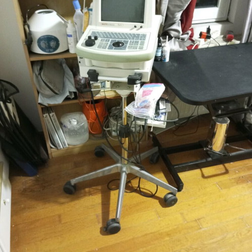 Esaote Pie Medical Aquila ultrasound used, for veterinary