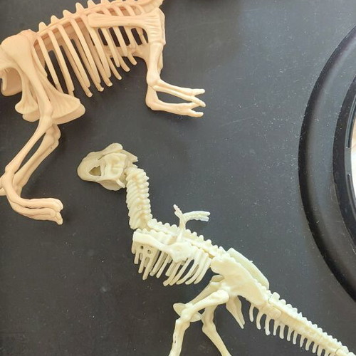 Dinosaur figures like new, set of 2, assembly model