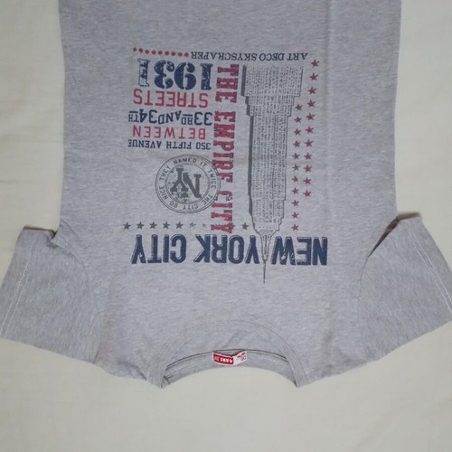 Dpam T-shirt for 4-year-old child like new, size 104 cm, gray