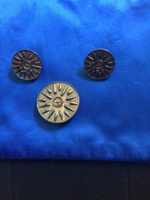 Jewelry set used, earrings and pin with Vergina Sun