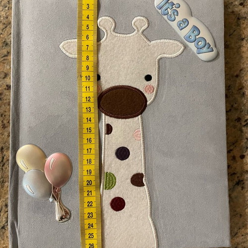 Princelino children's photo album like new with silver balloon design