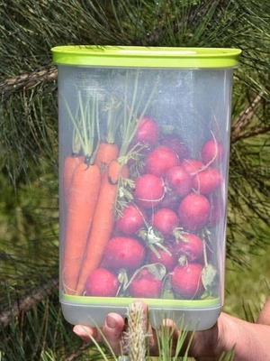 Tupperware smart cooling container 3.2 lt new