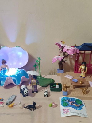 Playmobil pack used with minor missing pieces