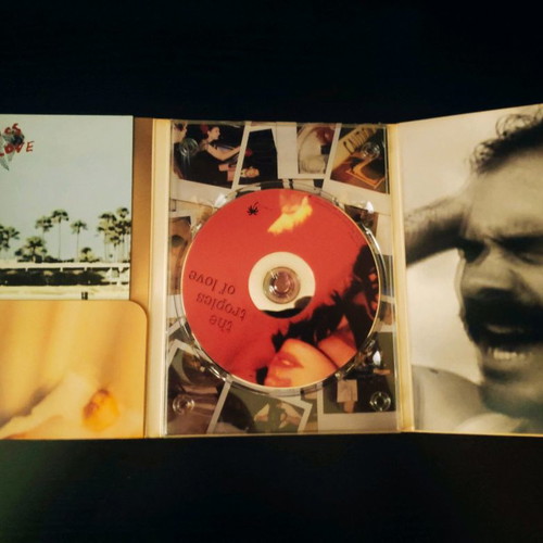 The Black Heart Procession The Tropics Of Love DVD