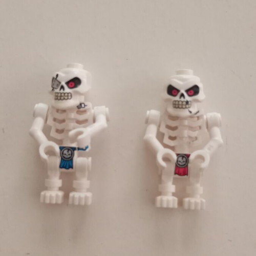 LEGO Ninjago Nuckal skeleton characters Skulkin