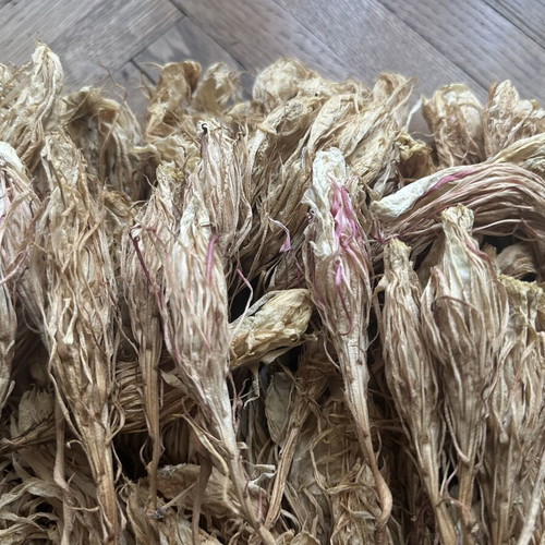 Queen of the Night dried flowers used, pack of 250