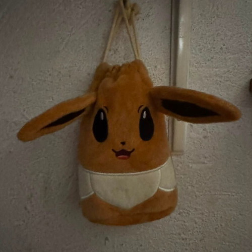 Prismatic Evolution Eevee Pouch like new