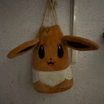 Prismatic Evolution Eevee Pouch like new