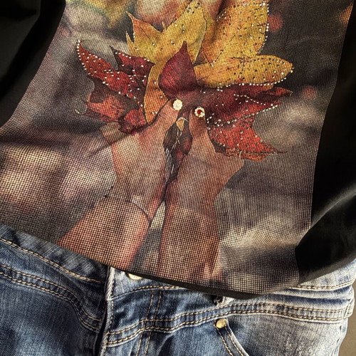 Jean and Tshirt set like new, large, with rips