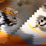  Γυναικείο Δαχτυλίδι Just Cavalli Με κρύσταλλα Ζιργκόν