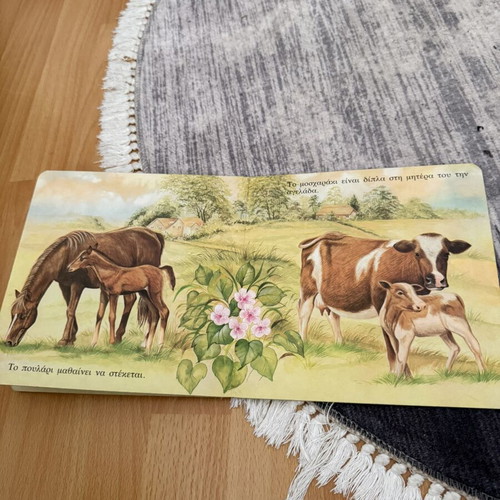 Animal Families children's book used, Greek