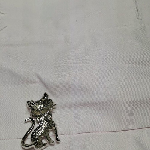 Cat brooch used