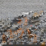  Πλαστικά στρατιωτάκια 1:72. Ιππότες, Ρωμαίοι κτλπ