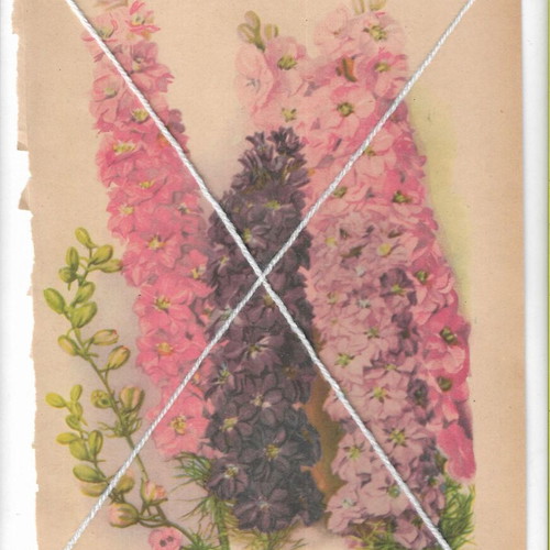 Vintage printed materials pack of 3 with floral and garden themes used