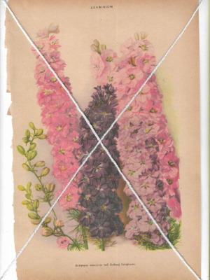 Vintage printed materials pack of 3 with floral and garden themes used