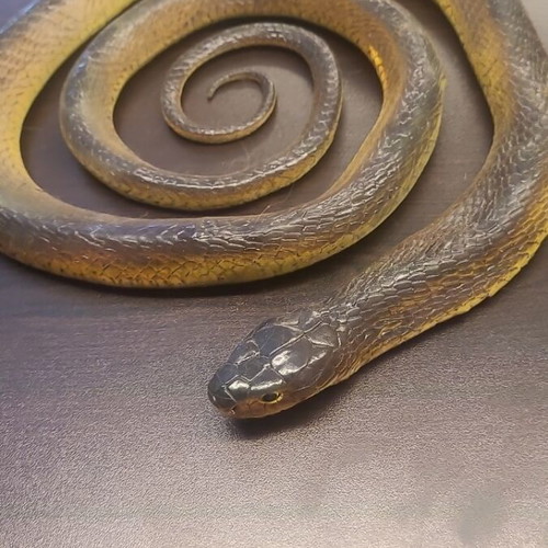 Rubber snake like real used, length about 1.5 meters